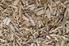 biomass boilers Dalguise